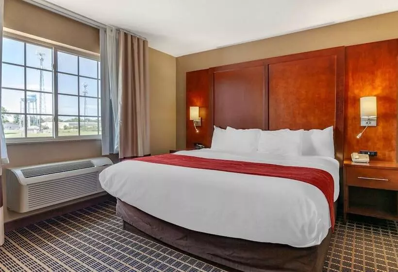 身障者適用スイートルーム, Comfort Suites Delavan  Lake Geneva Area