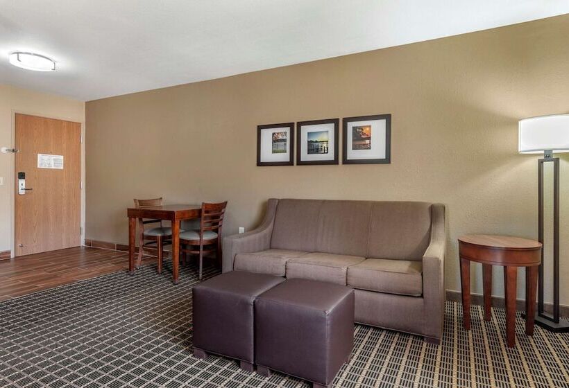 Люкс Адаптированный для Инвалидов, Comfort Suites Delavan  Lake Geneva Area