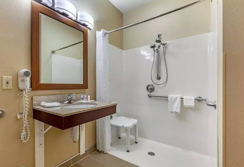 身障者適用スイートルーム, Comfort Suites Delavan  Lake Geneva Area