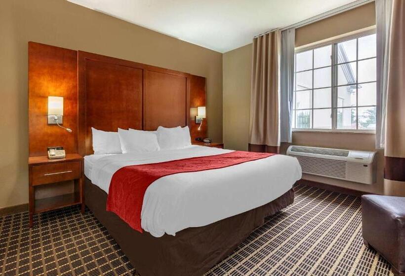 جناح لذوى الاحتياجات الخاصة, Comfort Suites Delavan  Lake Geneva Area