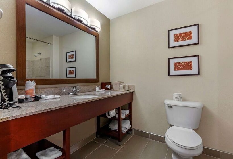 Люкс Адаптированный для Инвалидов, Comfort Suites Delavan  Lake Geneva Area