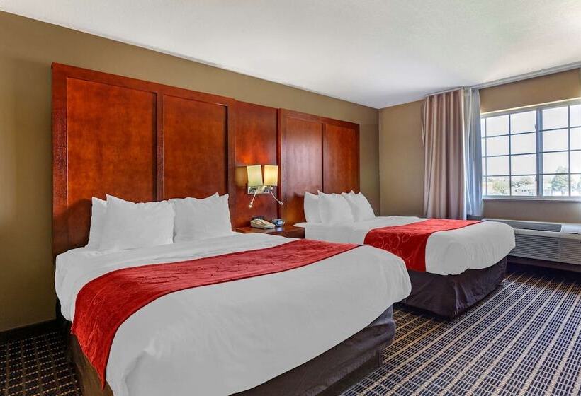 جناح لذوى الاحتياجات الخاصة, Comfort Suites Delavan  Lake Geneva Area