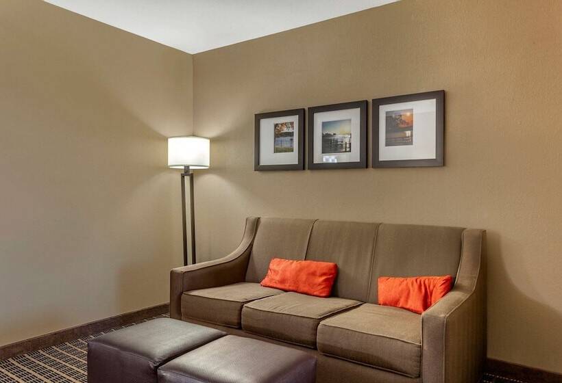 جناح لذوى الاحتياجات الخاصة, Comfort Suites Delavan  Lake Geneva Area