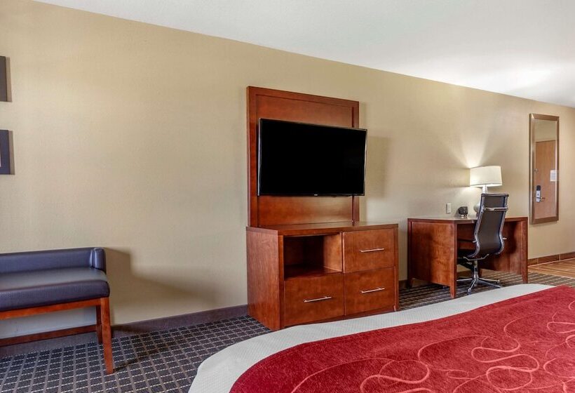 جناح لذوى الاحتياجات الخاصة, Comfort Suites Delavan  Lake Geneva Area