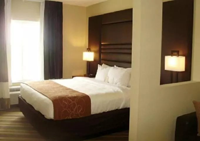 キングサイズベッドのスイートルーム, Comfort Suites Near Tanger Outlet Mall