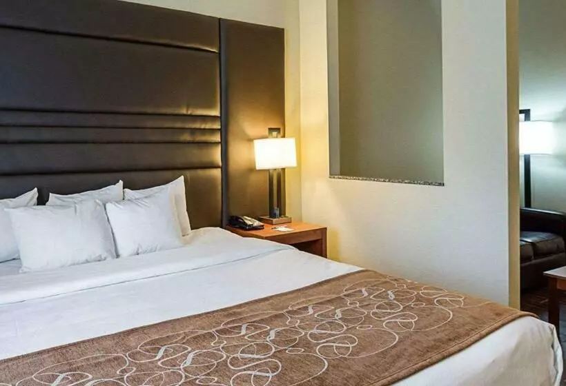 キングサイズベッドのスイートルーム, Comfort Suites Near Tanger Outlet Mall