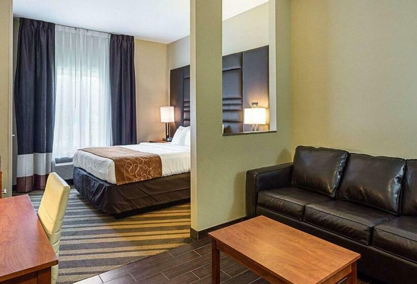 Люкс Кровать Кинг, Comfort Suites Near Tanger Outlet Mall