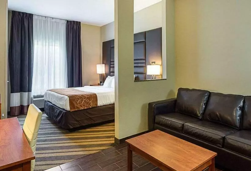 キングサイズベッドのスイートルーム, Comfort Suites Near Tanger Outlet Mall