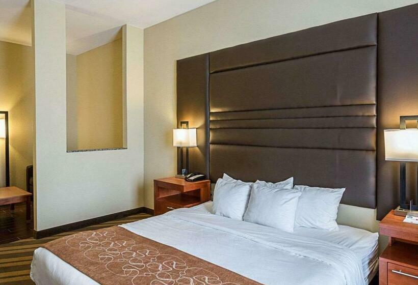 מיטת קינג בסוויטה, Comfort Suites Near Tanger Outlet Mall