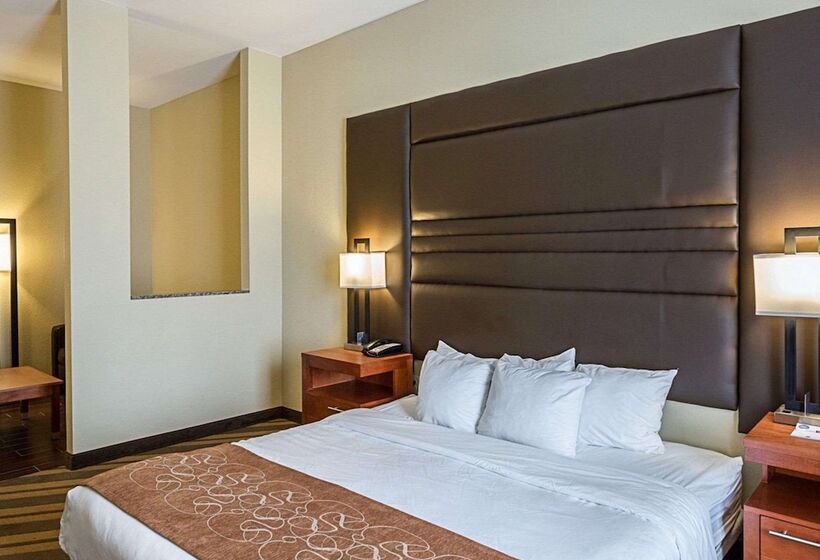 Люкс, Comfort Suites Near Tanger Outlet Mall