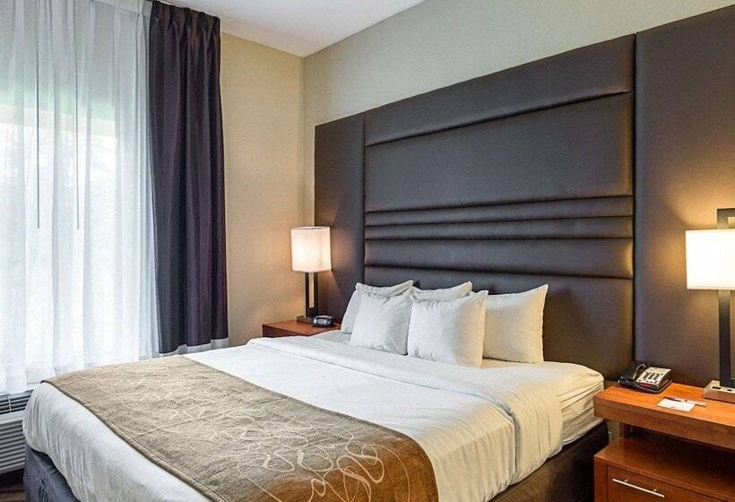 جناح لذوى الاحتياجات الخاصة, Comfort Suites Near Tanger Outlet Mall