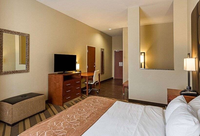 Люкс Адаптированный для Инвалидов, Comfort Suites Near Tanger Outlet Mall
