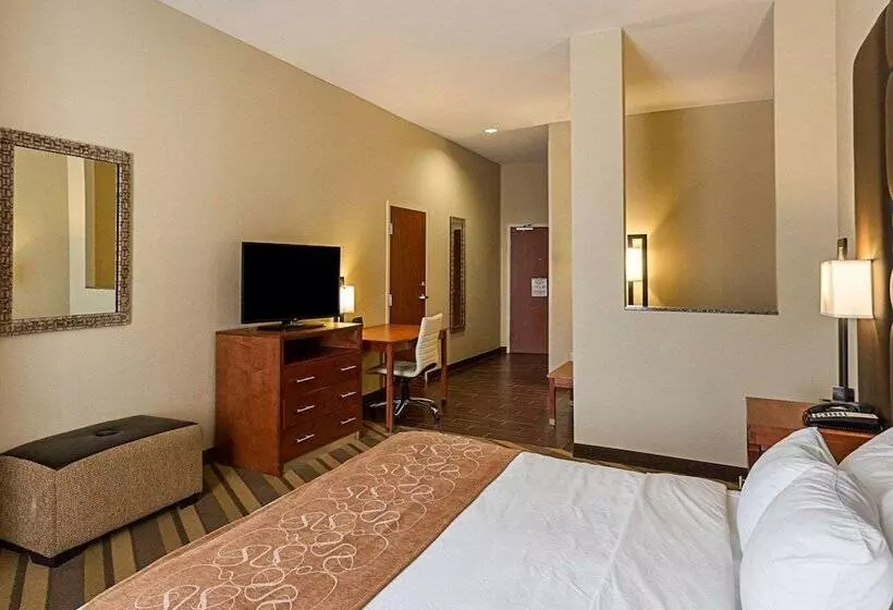身障者適用スイートルーム, Comfort Suites Near Tanger Outlet Mall