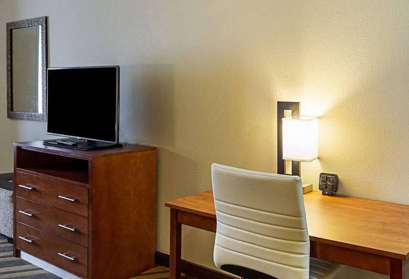 جناح لذوى الاحتياجات الخاصة, Comfort Suites Near Tanger Outlet Mall