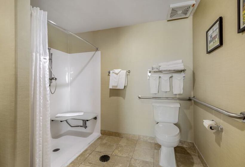 Люкс Адаптированный для Инвалидов, Comfort Suites Pflugerville Austin North