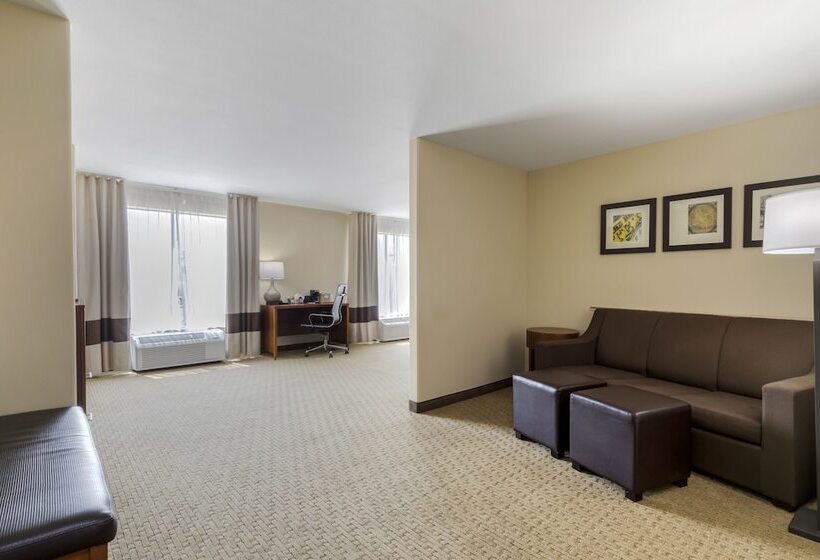 Люкс Адаптированный для Инвалидов, Comfort Suites Pflugerville Austin North