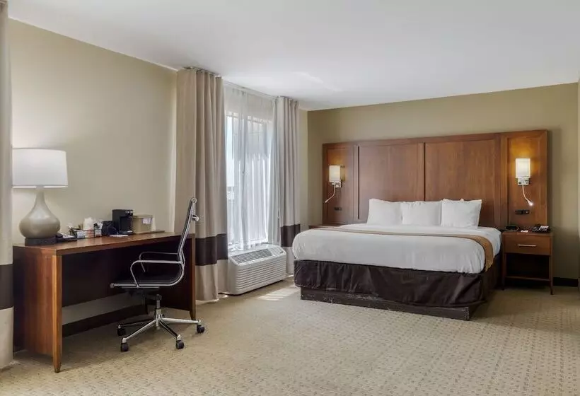 身障者適用スイートルーム, Comfort Suites Pflugerville  Austin North