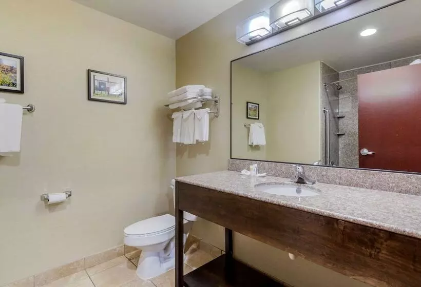 スイート, Comfort Suites Pflugerville  Austin North