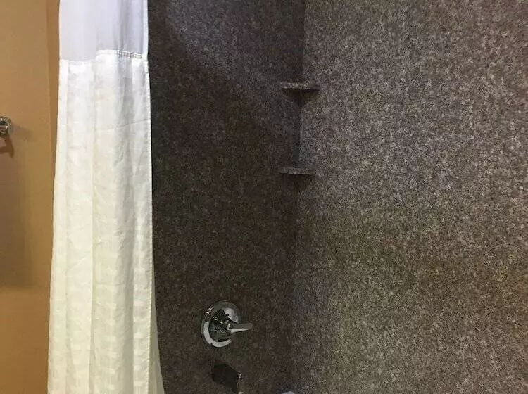 スイート, Comfort Suites Pflugerville  Austin North