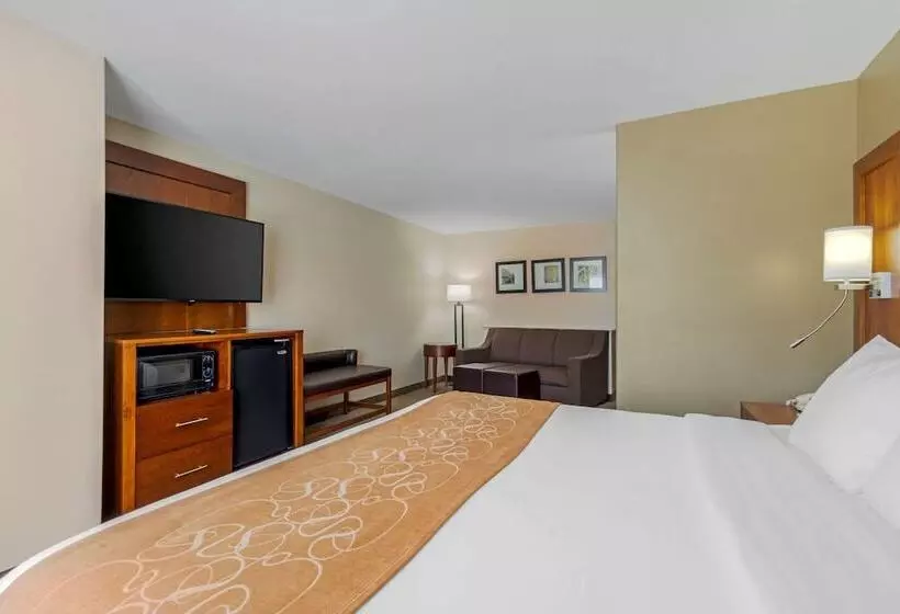 スイート, Comfort Suites Pflugerville  Austin North