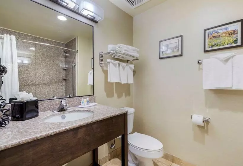 スイート, Comfort Suites Pflugerville  Austin North