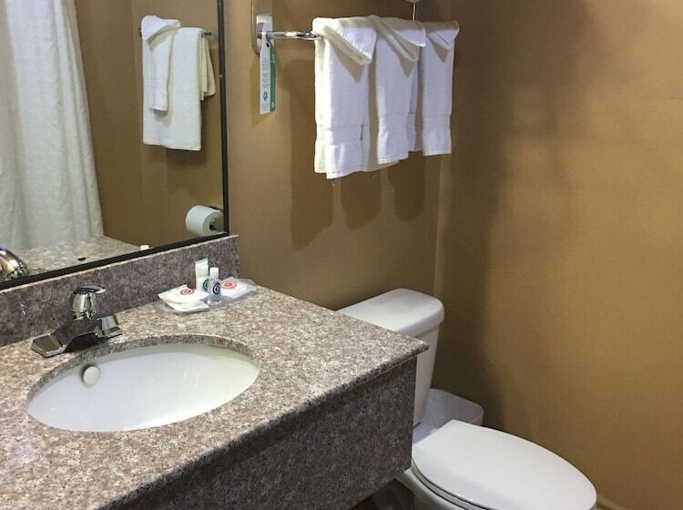 Люкс Адаптированный для Инвалидов, Comfort Suites Pflugerville  Austin North