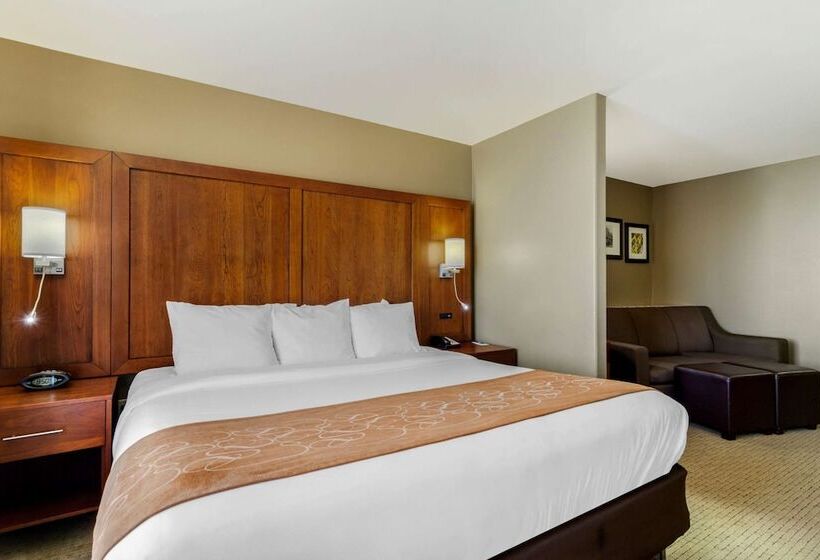 Люкс Адаптированный для Инвалидов, Comfort Suites Pflugerville Austin North