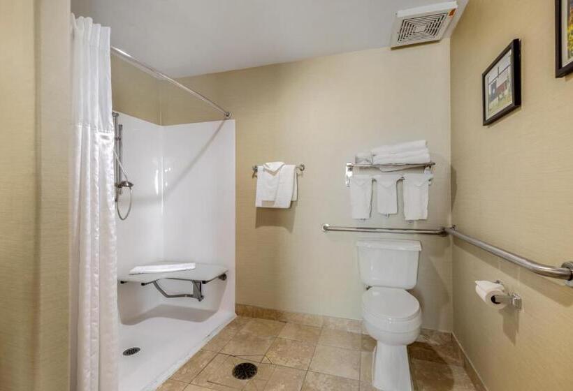 Люкс Адаптированный для Инвалидов, Comfort Suites Pflugerville Austin North