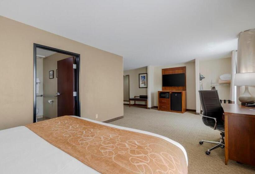 Люкс Адаптированный для Инвалидов, Comfort Suites Pflugerville Austin North