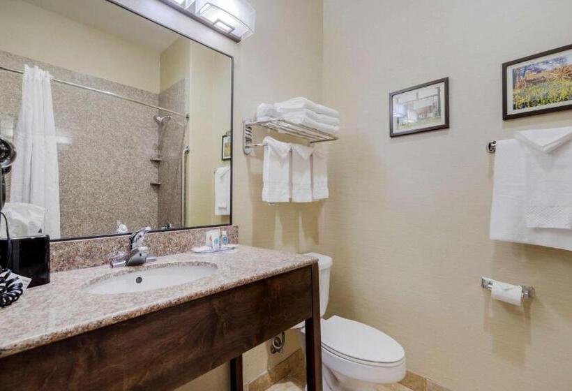 Люкс Кровать Кинг, Comfort Suites Pflugerville Austin North