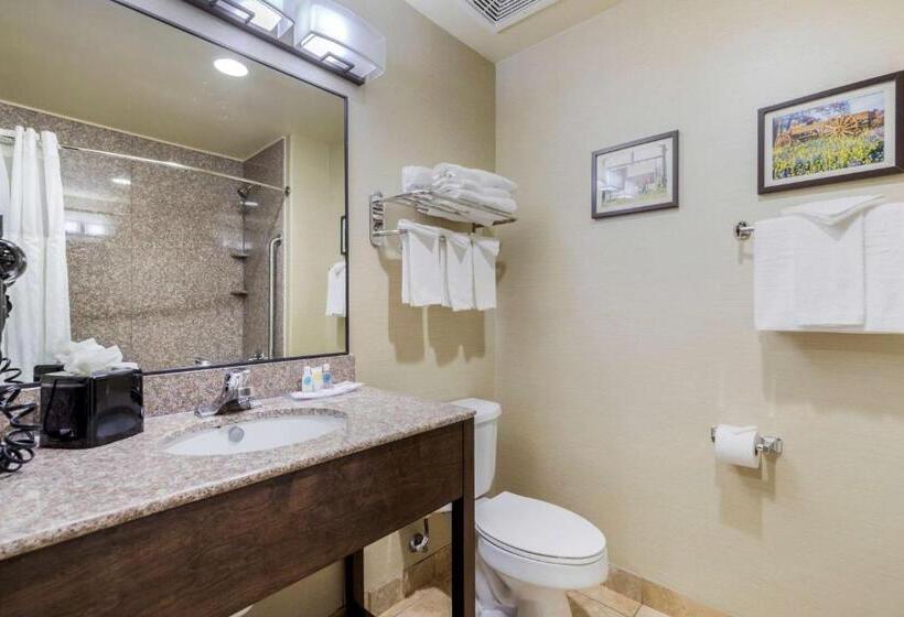 Люкс, Comfort Suites Pflugerville  Austin North