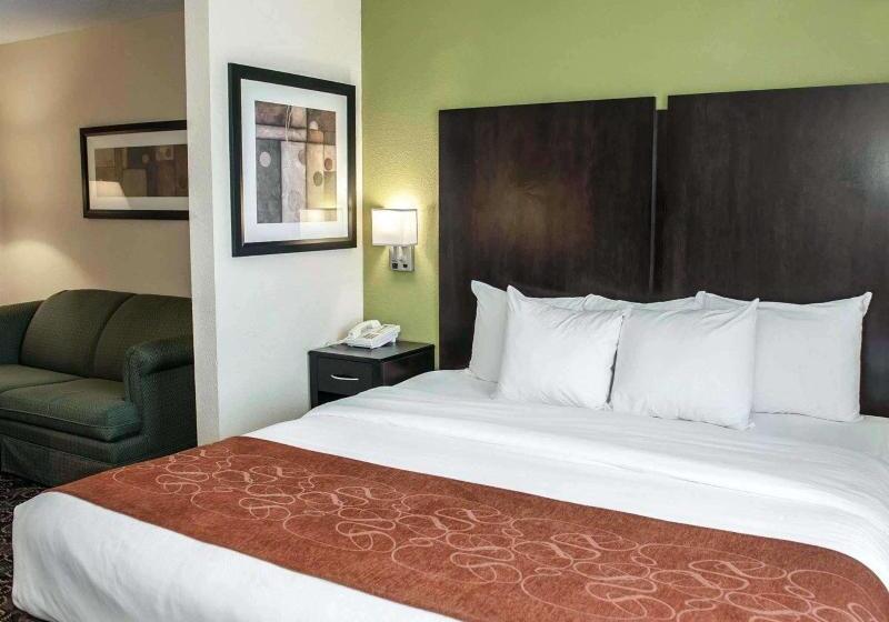מיטת קינג בסוויטה, Comfort Suites West Indianapolis  Brownsburg
