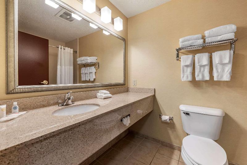 Люкс Кровать Кинг, Comfort Suites West Indianapolis  Brownsburg