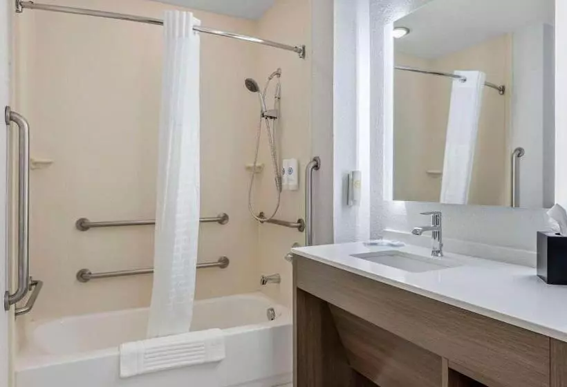 身障者適用スイートルーム, Comfort Suites West Indianapolis  Brownsburg
