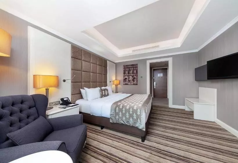 景色の見えるデラックスルーム, Dedeman Bostanci Istanbul Hotel & Convention Center