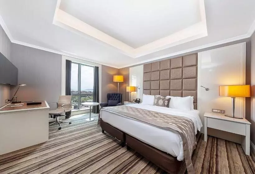 景色の見えるデラックスルーム, Dedeman Bostanci Istanbul Hotel & Convention Center