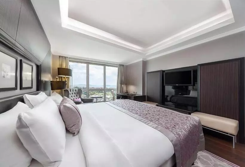 エグゼクティブ ルーム、眺望あり, Dedeman Bostanci Istanbul Hotel & Convention Center