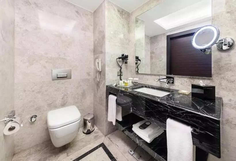 エグゼクティブ ルーム、眺望あり, Dedeman Bostanci Istanbul Hotel & Convention Center