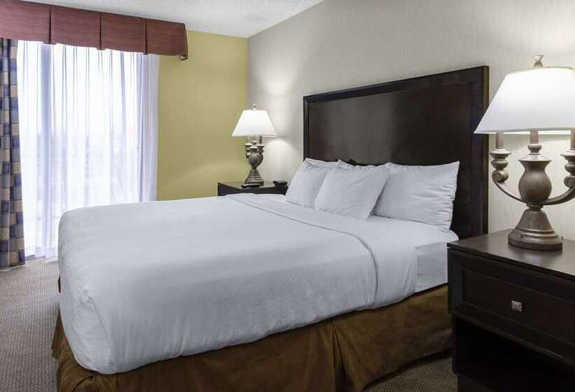 اتاق استاندارد, Doubletree By Hilton Chattanooga Hamilton Place