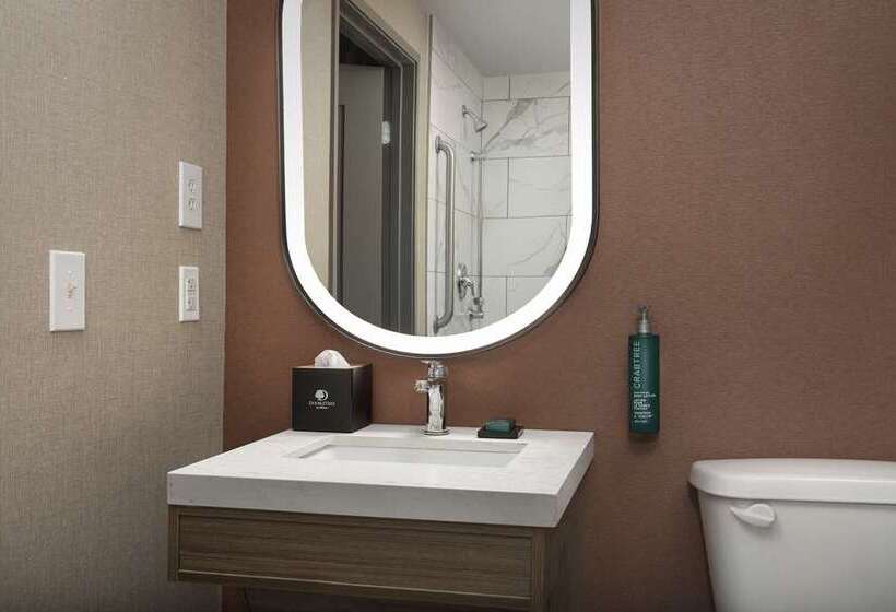 اتاق استاندارد, Doubletree By Hilton Chattanooga Hamilton Place