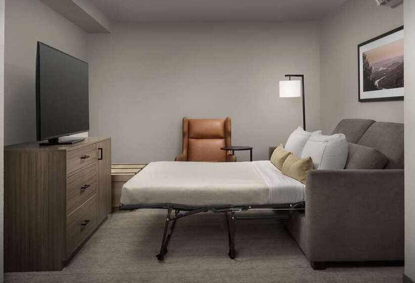 اتاق استاندارد, Doubletree By Hilton Chattanooga Hamilton Place