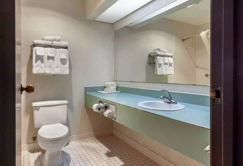 ２ダブルベッドのスタンダードルーム, Econo Lodge Wausau   Rothschild