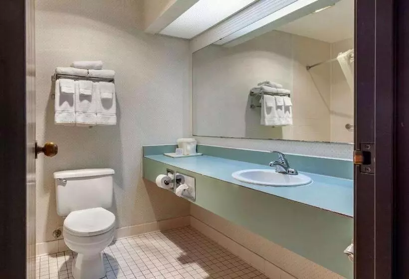 ２ダブルベッドのスタンダードルーム, Econo Lodge Wausau   Rothschild