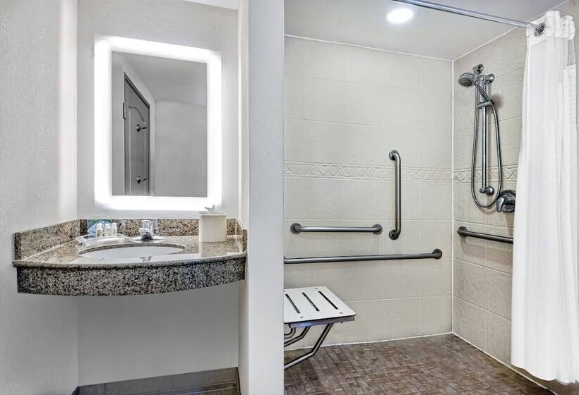 جناح لذوى الاحتياجات الخاصة, Holiday Inn & Suites College Station Aggieland, An Ihg