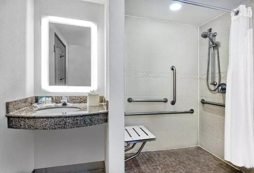 اتاق استاندارد با تخت بزرگ برای معلولان, Holiday Inn & Suites College Station Aggieland, An Ihg