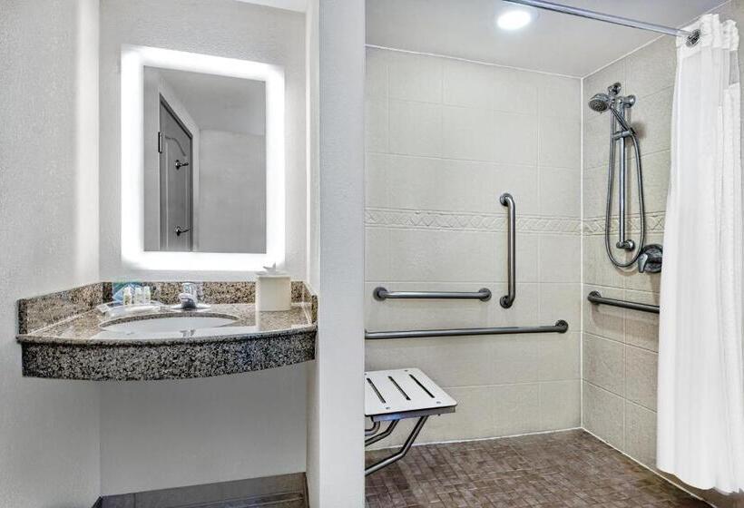 غرفة قياسية سرير كينج لذوى الإحتياجات الخاصة, Holiday Inn & Suites College Station Aggieland, An Ihg