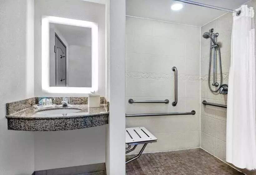اتاق استاندارد با تخت بزرگ برای معلولان, Holiday Inn & Suites College Station Aggieland, An Ihg
