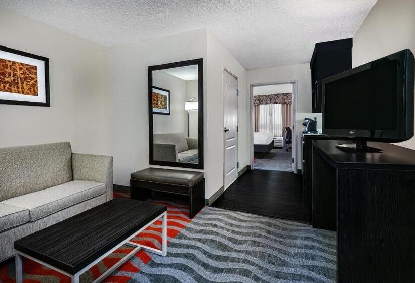 جناح لذوى الاحتياجات الخاصة, Holiday Inn & Suites College Station Aggieland, An Ihg