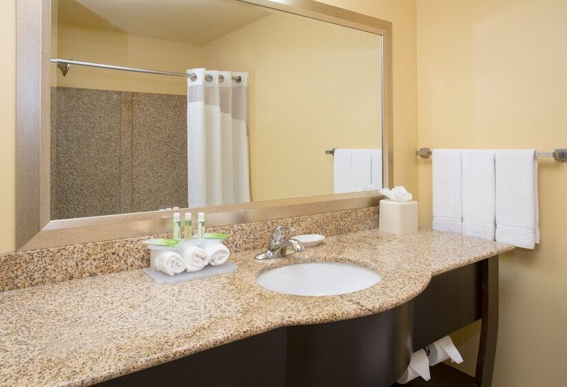 Люкс, Holiday Inn Express & Suites Denver North   Thornton, An Ihg
