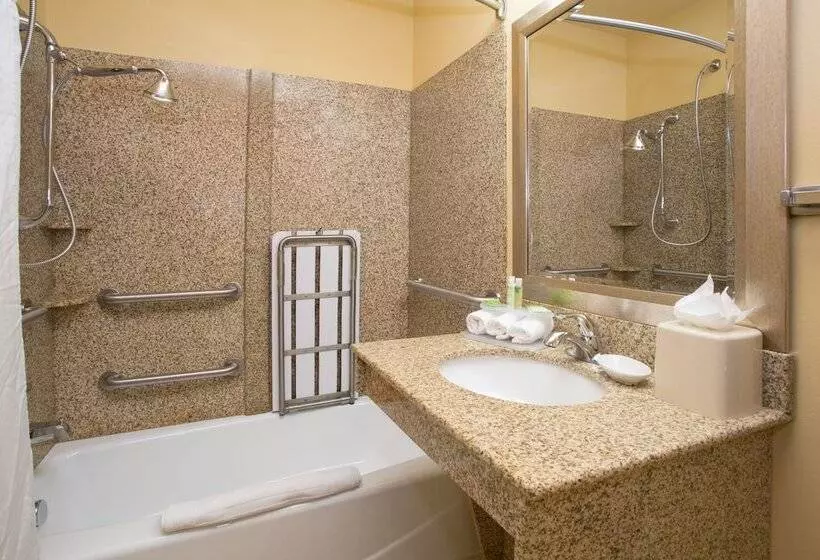 身障者適用スイートルーム, Holiday Inn Express & Suites Denver North   Thornton, An Ihg